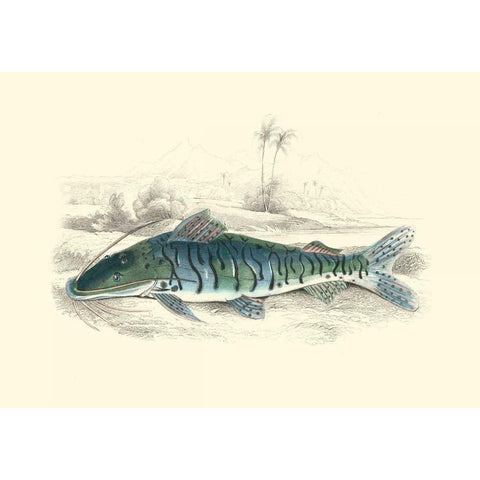 Lizars Game Fish II Gold Ornate Wood Framed Art Print with Double Matting by Lizars, W.H.