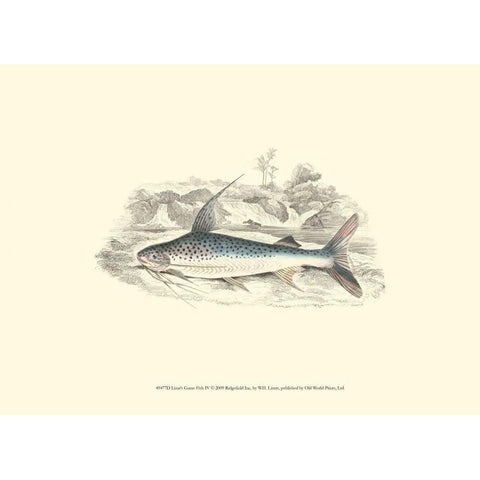 Lizars Game Fish IV Black Modern Wood Framed Art Print by Lizars, W.H.