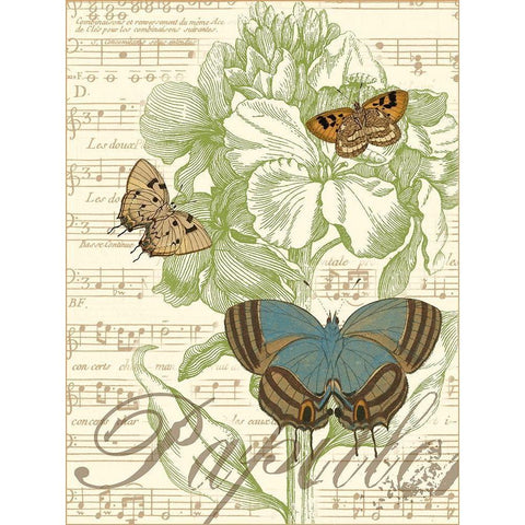 Papillon Melange I Black Modern Wood Framed Art Print with Double Matting by Vision Studio