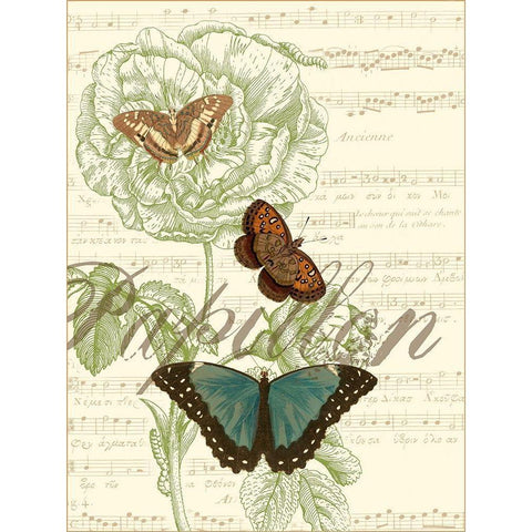 Papillon Melange II Black Modern Wood Framed Art Print with Double Matting by Vision Studio