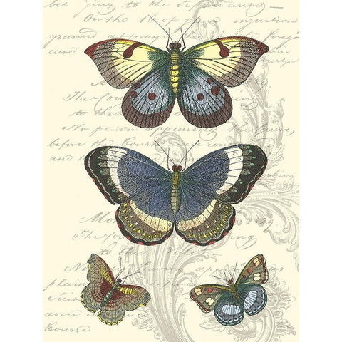 Butterfly Delight I White Modern Wood Framed Art Print by Vision Studio
