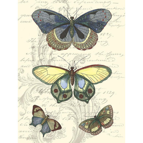 Butterfly Delight II Gold Ornate Wood Framed Art Print with Double Matting by Vision Studio