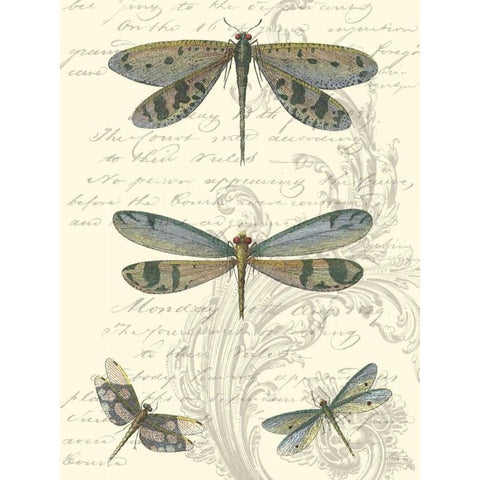 Dragonfly Delight I Black Modern Wood Framed Art Print by Vision Studio