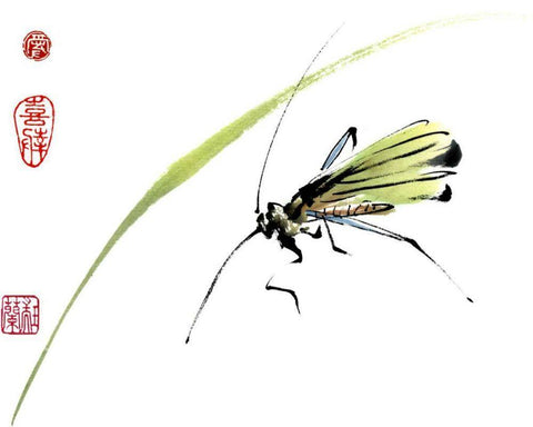 Grasshopper White Modern Wood Framed Art Print with Double Matting by Parker, Nan Rae