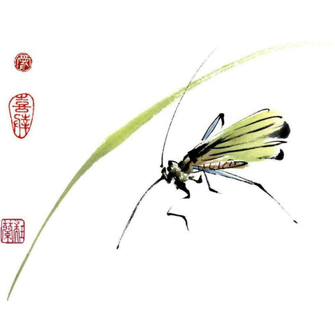 Grasshopper Black Modern Wood Framed Art Print by Parker, Nan Rae