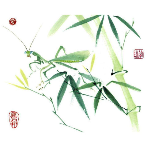 Mantis White Modern Wood Framed Art Print by Parker, Nan Rae