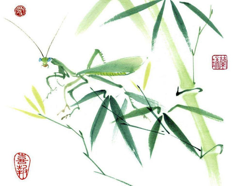 Mantis White Modern Wood Framed Art Print with Double Matting by Parker, Nan Rae