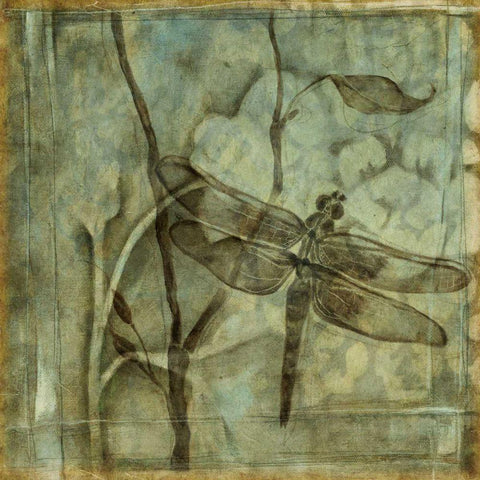 Small Ethereal Wings II Black Modern Wood Framed Art Print with Double Matting by Goldberger, Jennifer