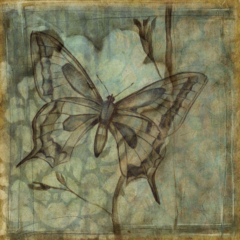 Small Ethereal Wings IV Gold Ornate Wood Framed Art Print with Double Matting by Goldberger, Jennifer