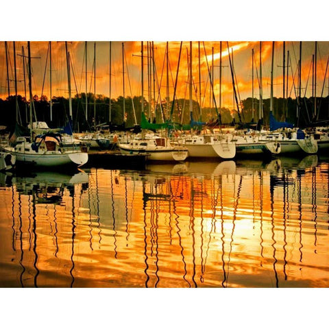 Marina Sunrise I White Modern Wood Framed Art Print by Head, Danny