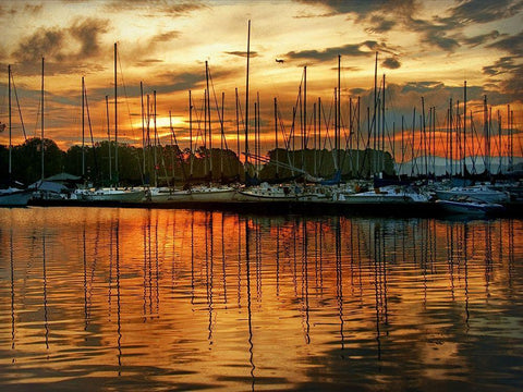Marina Sunrise III Black Ornate Wood Framed Art Print with Double Matting by Head, Danny