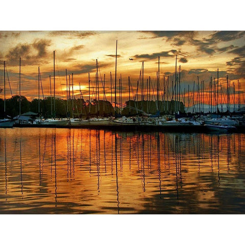 Marina Sunrise III Black Modern Wood Framed Art Print with Double Matting by Head, Danny