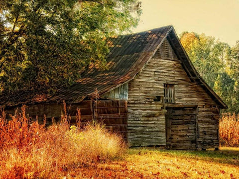 Barn Loft Memories Black Ornate Wood Framed Art Print with Double Matting by Head, Danny