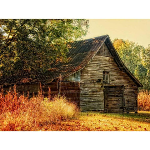 Barn Loft Memories Black Modern Wood Framed Art Print by Head, Danny