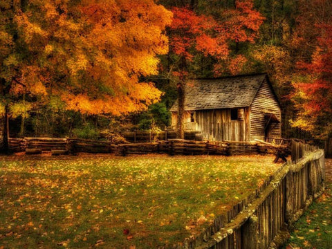 Autumn at the Mill White Modern Wood Framed Art Print with Double Matting by Head, Danny