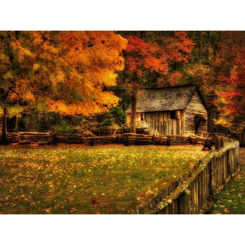 Autumn at the Mill Black Modern Wood Framed Art Print with Double Matting by Head, Danny