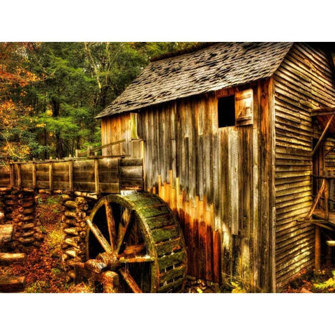 Water Wheel Black Modern Wood Framed Art Print by Head, Danny