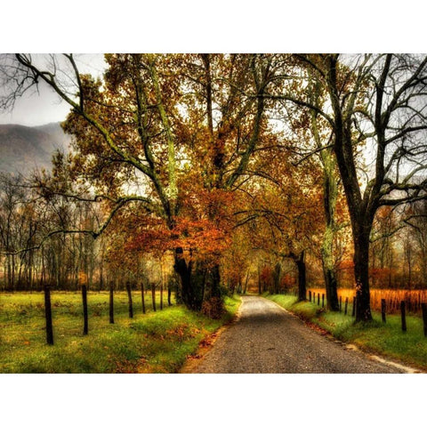 Rainy Morning on Sparks Lane Black Modern Wood Framed Art Print with Double Matting by Head, Danny