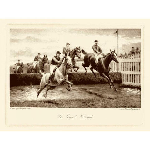 The Grand National Black Modern Wood Framed Art Print by Bird, Harington
