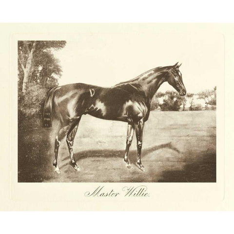 Master Willie Black Modern Wood Framed Art Print with Double Matting by Hailey, Clarence