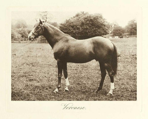 Veronese Black Ornate Wood Framed Art Print with Double Matting by Hailey, Clarence