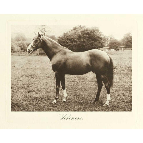 Veronese Gold Ornate Wood Framed Art Print with Double Matting by Hailey, Clarence