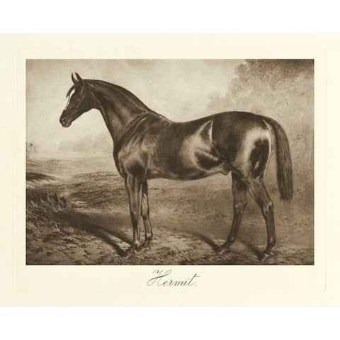 Hermit Gold Ornate Wood Framed Art Print with Double Matting by Hailey, Clarence