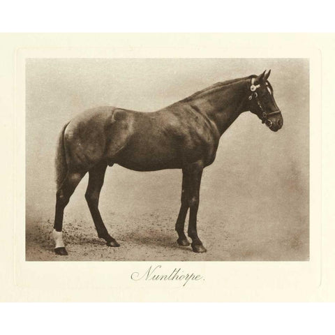 Nunthorpe Black Modern Wood Framed Art Print by Hailey, Clarence