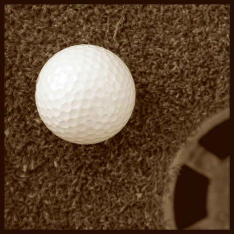 Sepia Golf Ball Study I Gold Ornate Wood Framed Art Print with Double Matting by Johnson, Jason