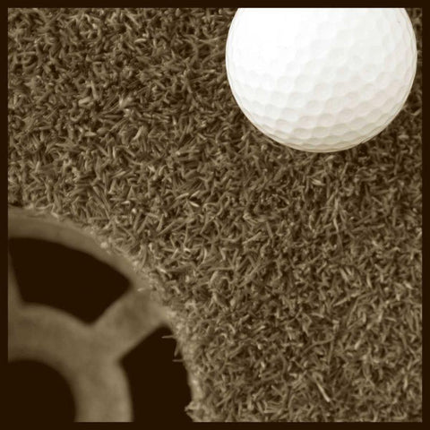 Sepia Golf Ball Study II Gold Ornate Wood Framed Art Print with Double Matting by Johnson, Jason