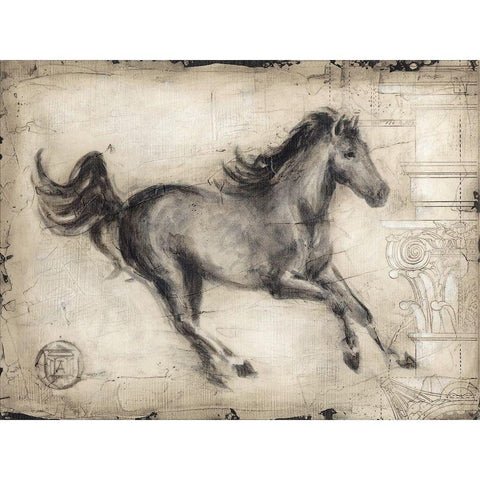 Roman Horse I Black Modern Wood Framed Art Print by Harper, Ethan