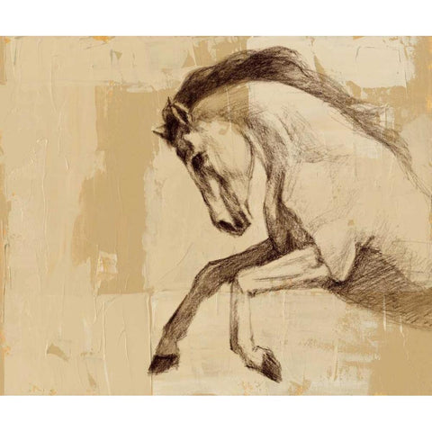 Majestic Horse II Black Modern Wood Framed Art Print by Harper, Ethan