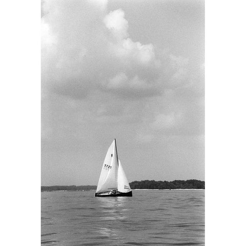 Ocean Breeze IV Black Modern Wood Framed Art Print by DeNardo, Laura