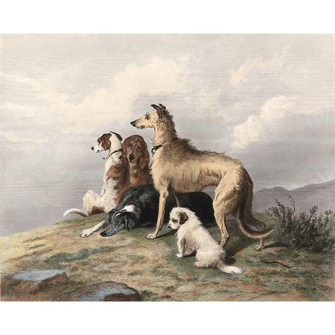 Highland Dogs Black Modern Wood Framed Art Print by Landseer, Edward
