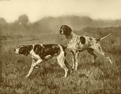 A Double Point White Modern Wood Framed Art Print with Double Matting by Tracey, J.M.