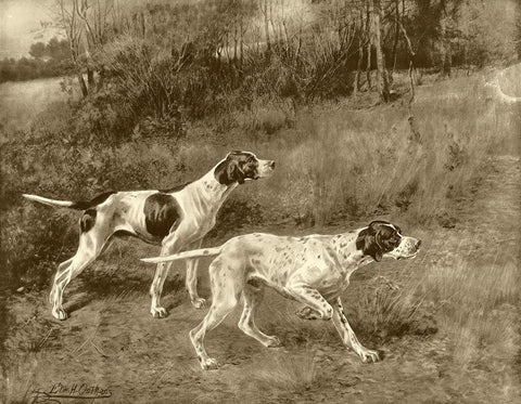 Rip Rap and Lad of Rush White Modern Wood Framed Art Print with Double Matting by Osthaus, E.H.