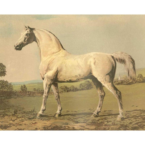 Cassells Thoroughbred II Gold Ornate Wood Framed Art Print with Double Matting by Cassel