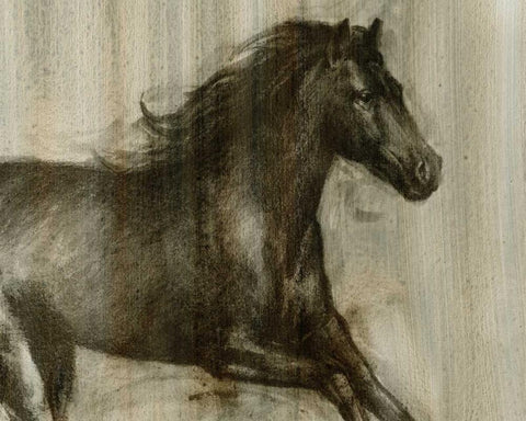 Dynamic Stallion I White Modern Wood Framed Art Print with Double Matting by Harper, Ethan