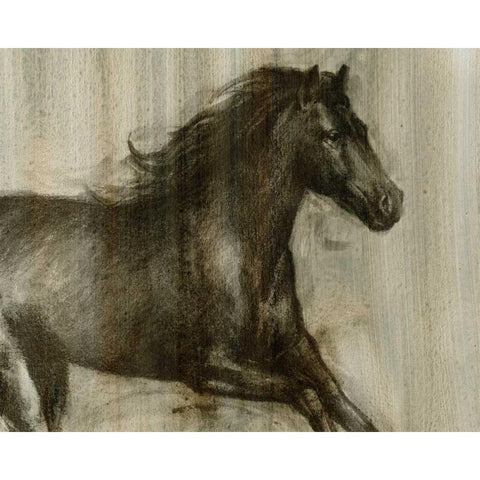 Dynamic Stallion I Gold Ornate Wood Framed Art Print with Double Matting by Harper, Ethan