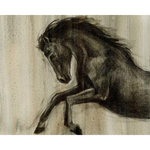 Dynamic Stallion II Black Modern Wood Framed Art Print by Harper, Ethan