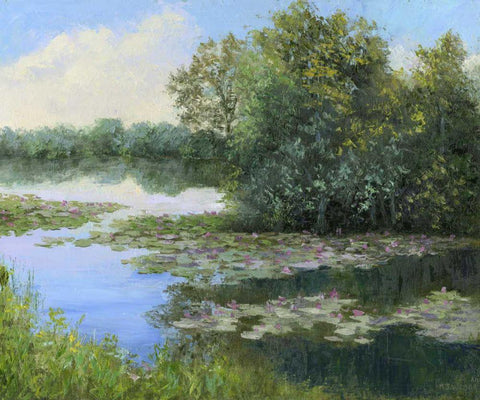 Water Lily Pond White Modern Wood Framed Art Print with Double Matting by Weber, Mary Jean