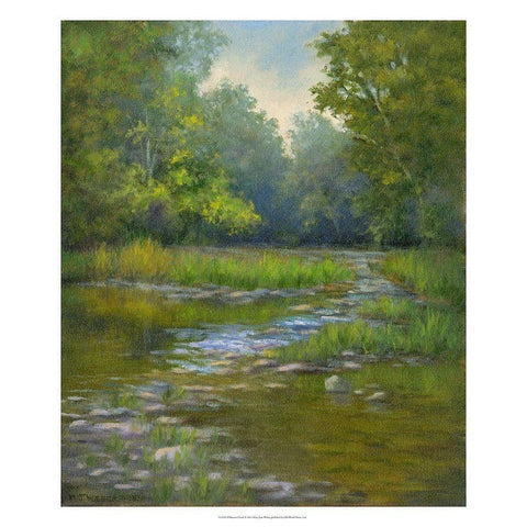 OBannon Creek Black Modern Wood Framed Art Print by Weber, Mary Jean