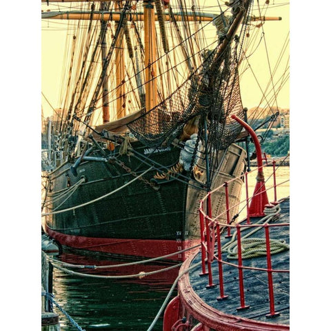 Tall Ships in Darling Harbour Black Modern Wood Framed Art Print with Double Matting by Head, Danny