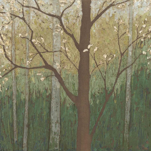 Hudson River Forest II Black Ornate Wood Framed Art Print with Double Matting by Meagher, Megan