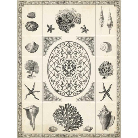 Natures Memento II Gold Ornate Wood Framed Art Print with Double Matting by Vision Studio