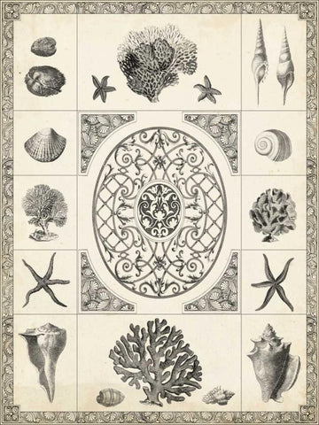 Natures Memento II Black Ornate Wood Framed Art Print with Double Matting by Vision Studio