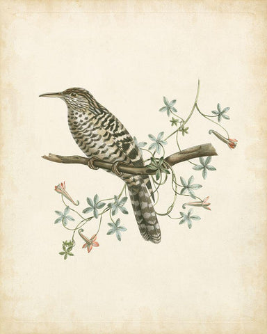 Delicate Birds IV Black Ornate Wood Framed Art Print with Double Matting by Unknown