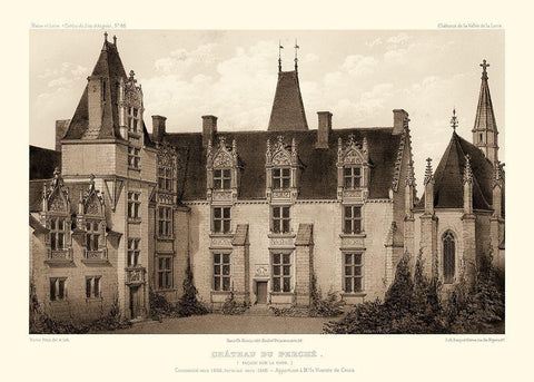 Sepia Chateaux I Black Ornate Wood Framed Art Print with Double Matting by Petit, Victor