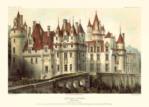 French Chateaux VII Black Ornate Wood Framed Art Print with Double Matting by Petit, Victor