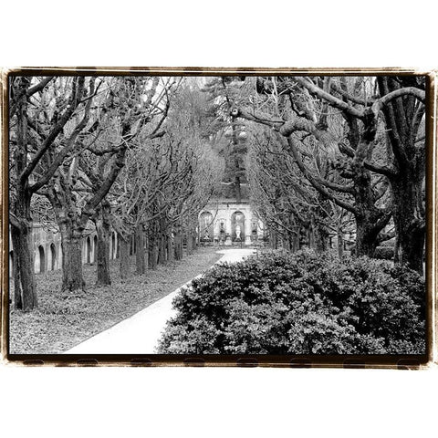 Garden Walk White Modern Wood Framed Art Print by DeNardo, Laura